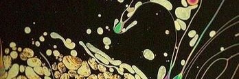ju_biu's profile banner image