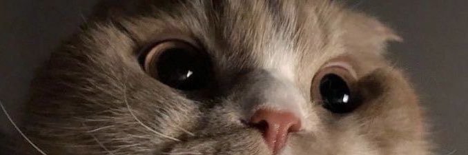irnvra's profile banner image