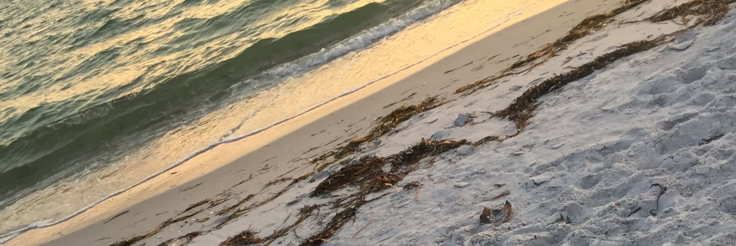 joedan_015's profile banner image