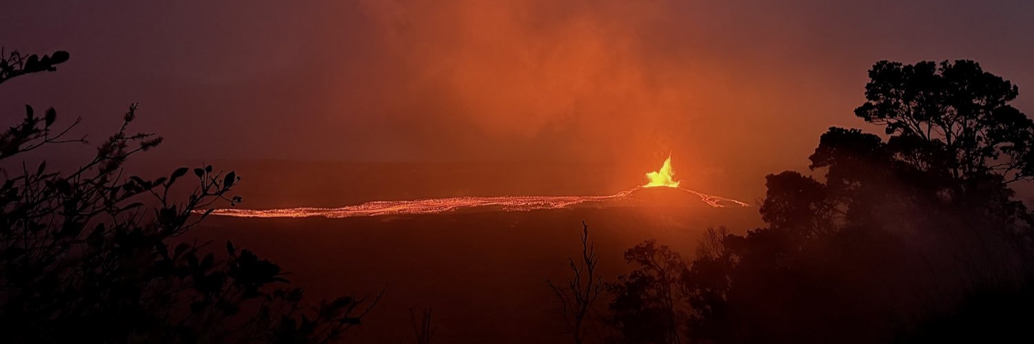 Heather Lauer banner