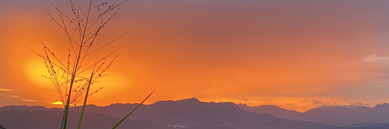 cano_roots's profile banner image