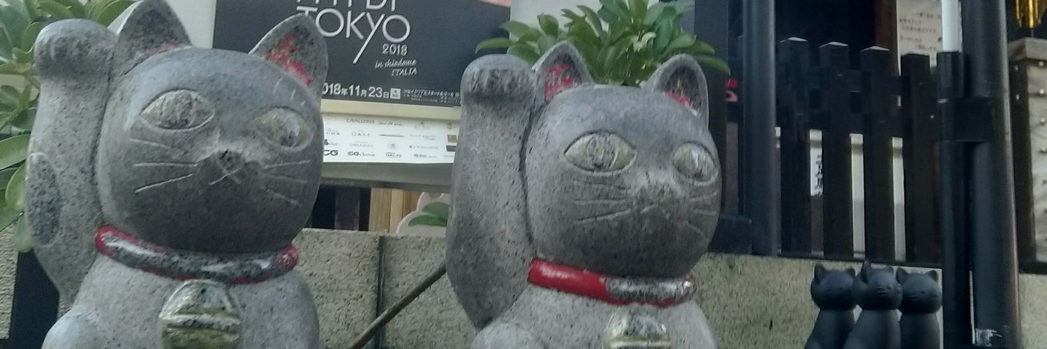 hitohitohitok's profile banner image