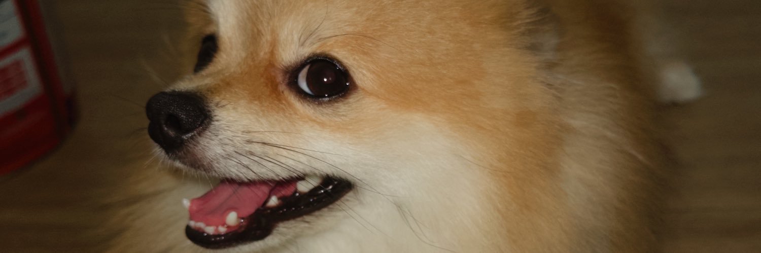 cip0ca's profile banner image