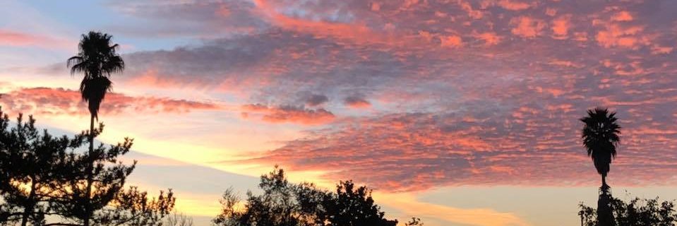 LizbuttW's profile banner image