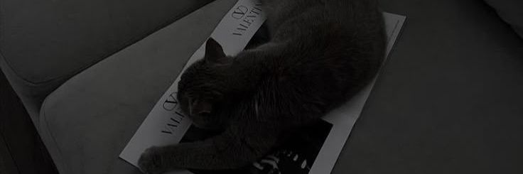 boldrekk's profile banner image