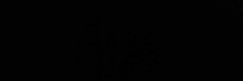 LameIoide's profile banner image