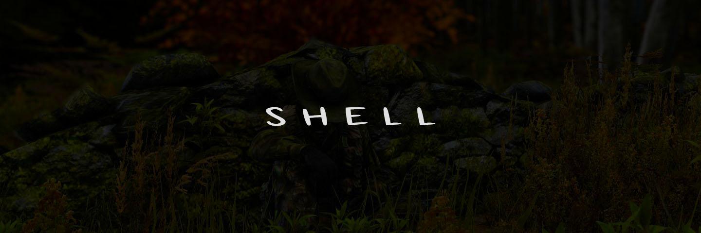 ShellShock banner