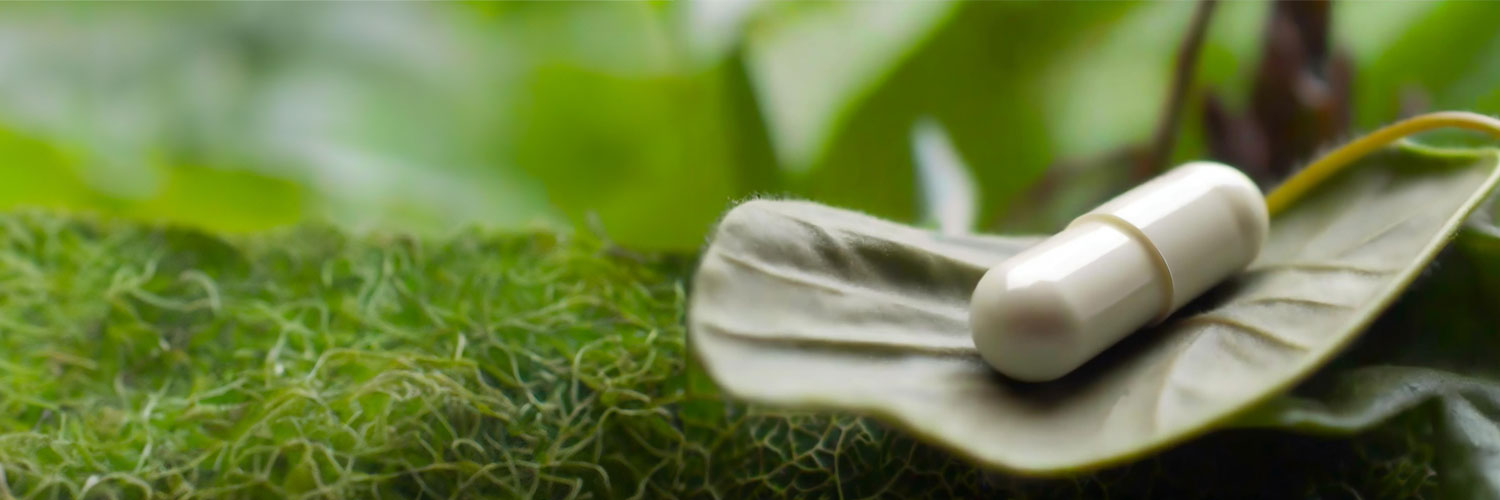farmacapsulas's profile banner image