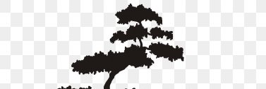 peawea's profile banner image