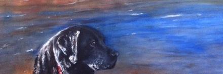 CaptainNemo8's profile banner image
