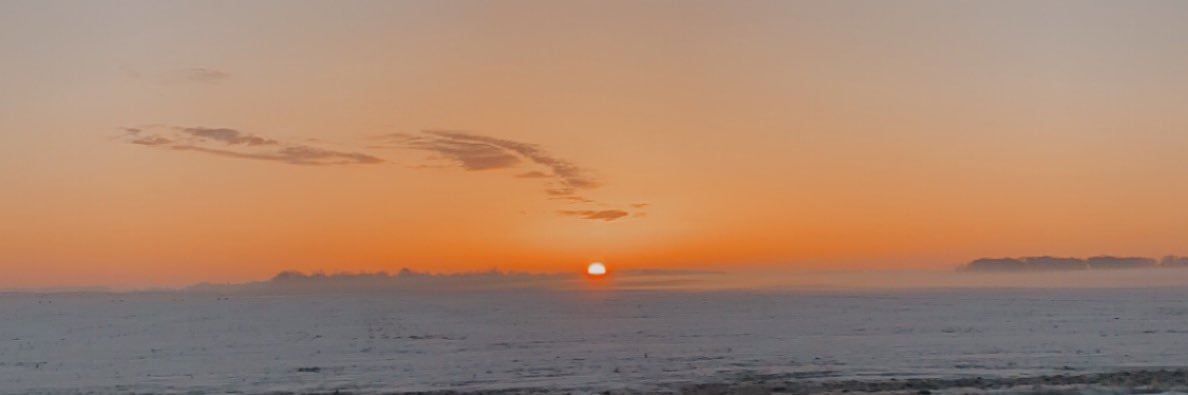cailey_olson's profile banner image