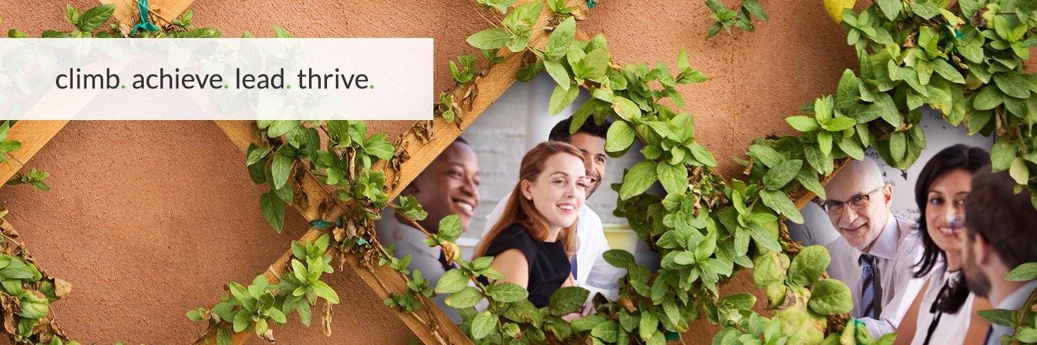 trellis consulting banner