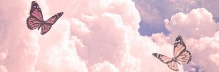 pres banner