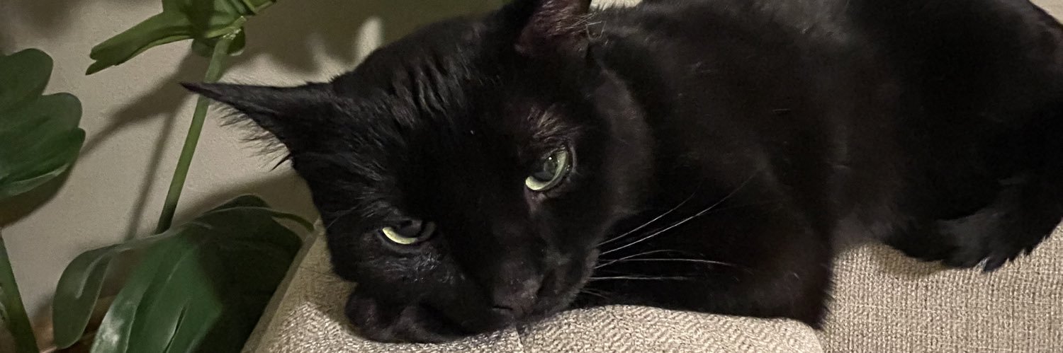 lecainebarker's profile banner image