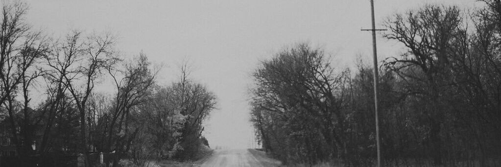 laurennenns's profile banner image