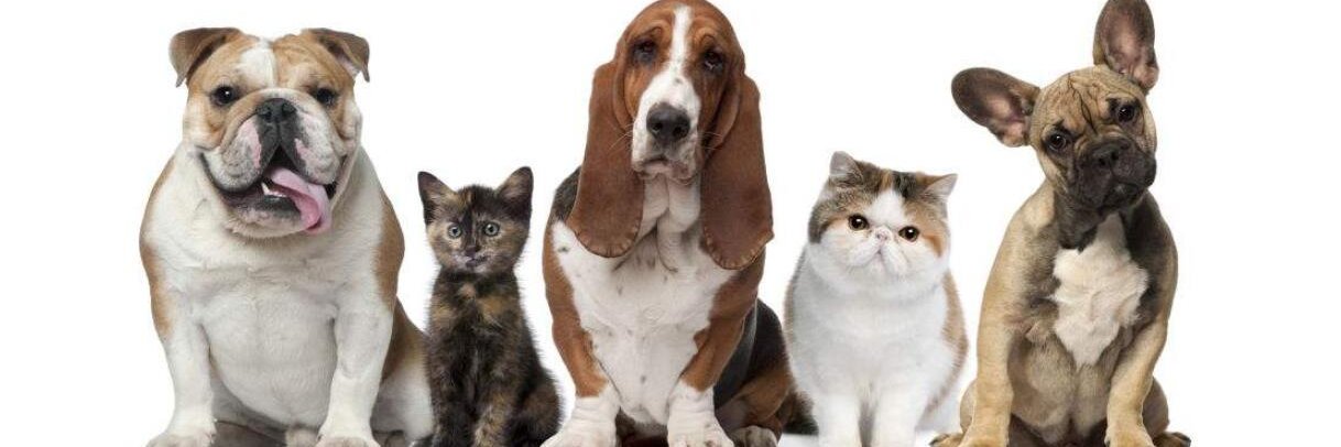 Fred_soho's profile banner image
