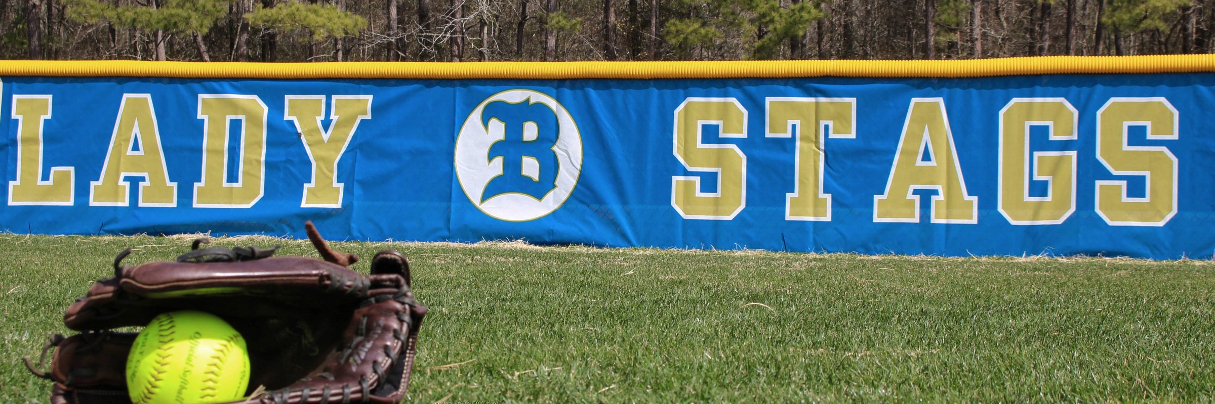 Lady Stags Softball banner