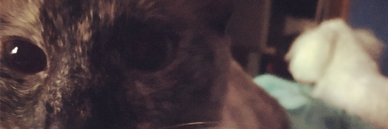 codewithfire's profile banner image