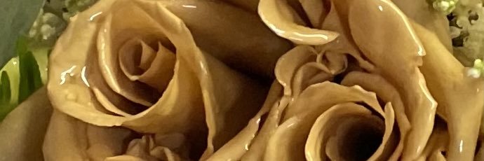Cicely_notItaly's profile banner image