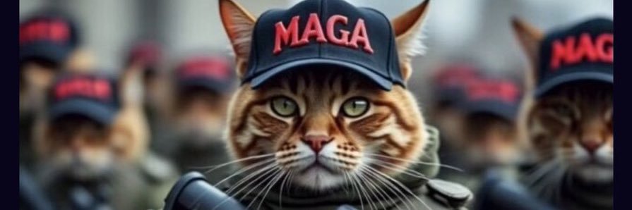 ❌🇺🇸TRUMPGIRL🇺🇸 banner