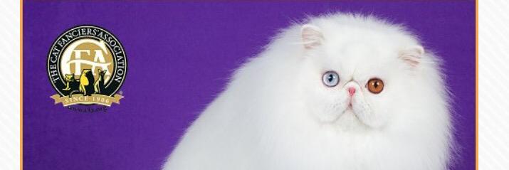 prabucats's profile banner image