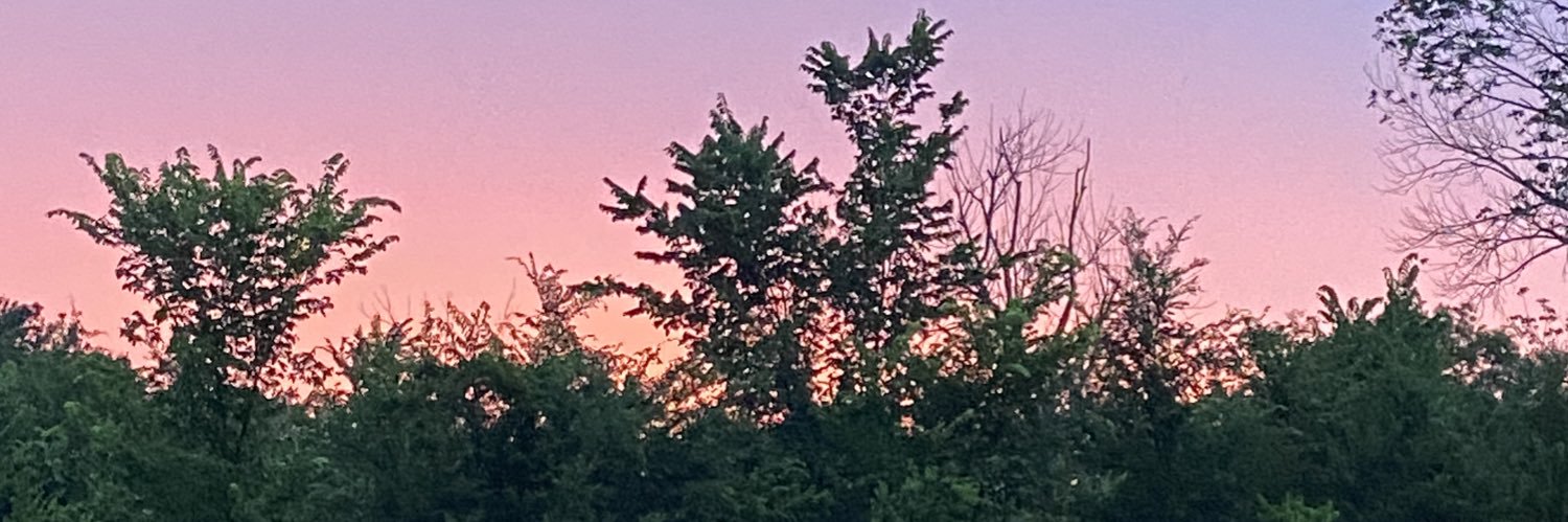 sydnierenespive's profile banner image