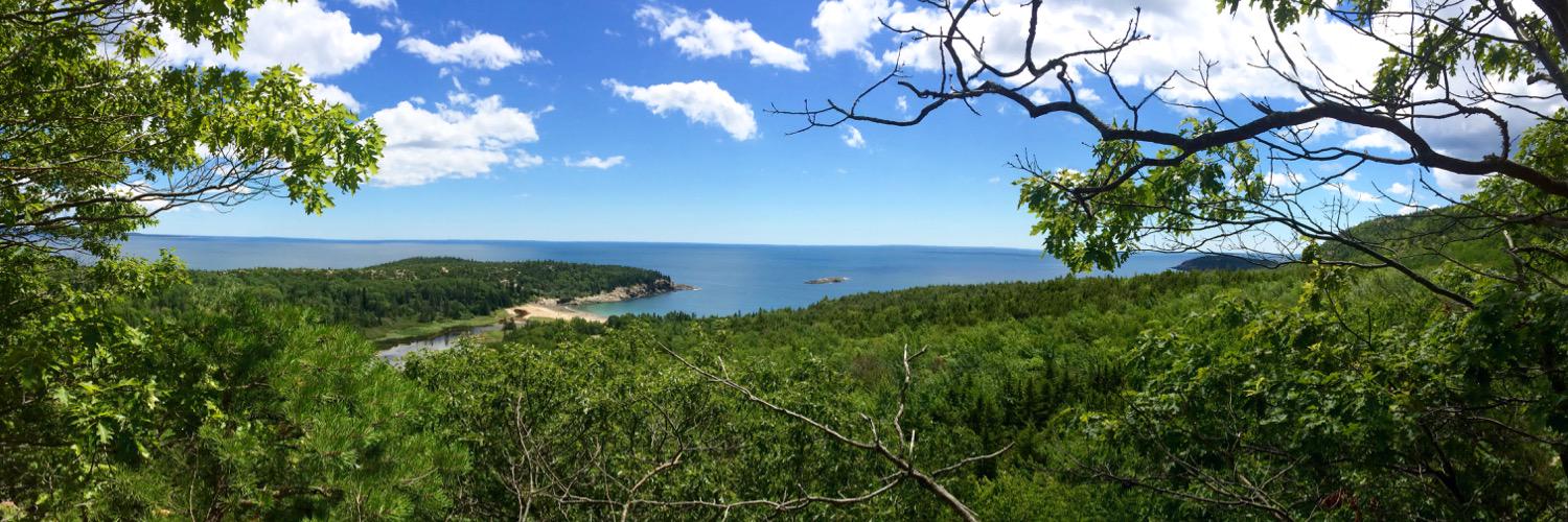 Heather Higgins banner