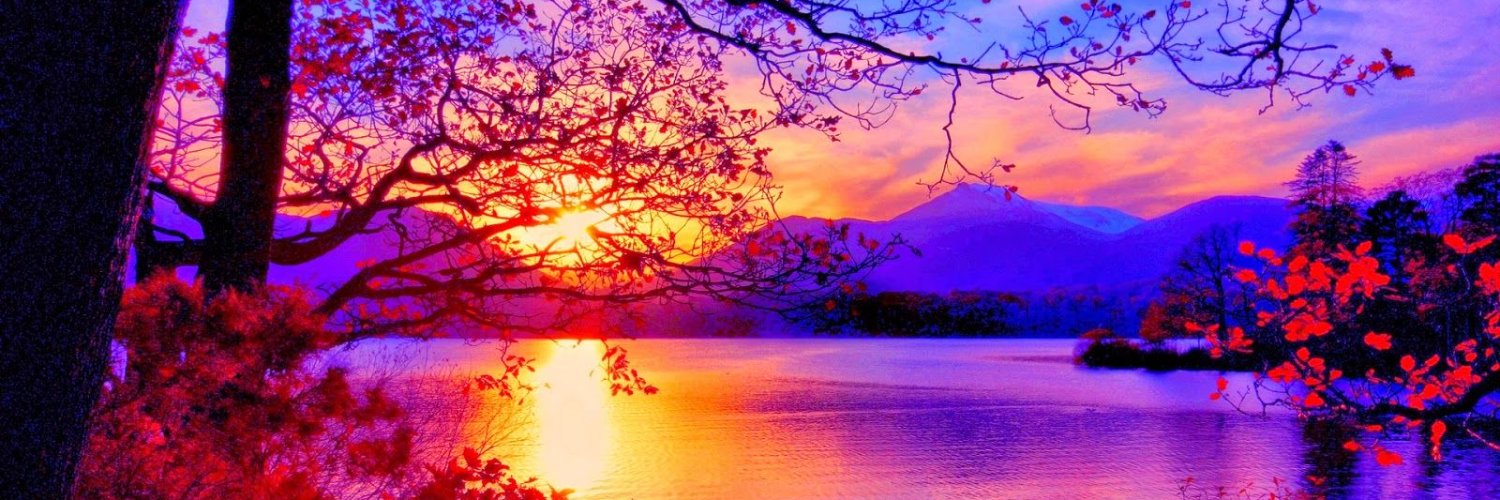 RachAust's profile banner image