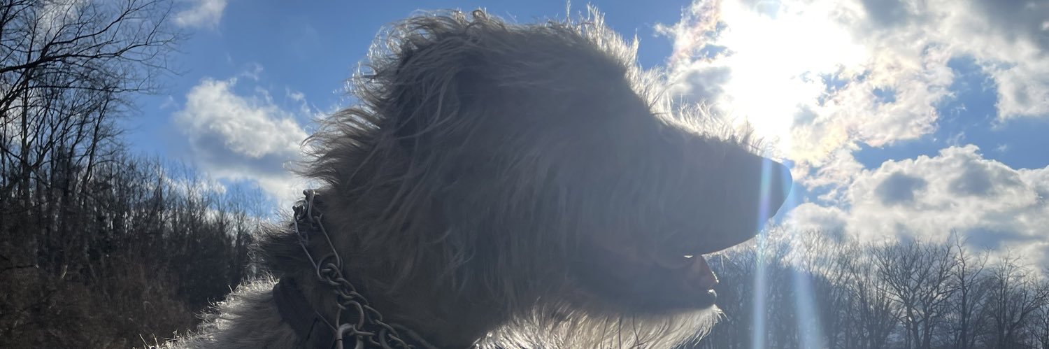 BaileyMaus's profile banner image