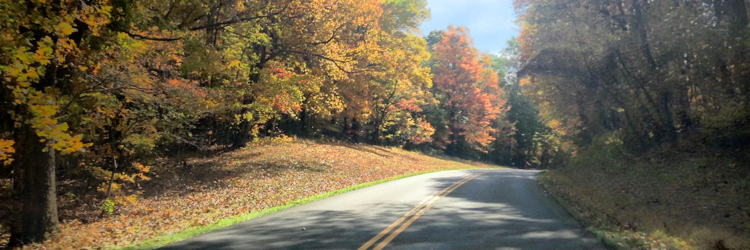 KateSaysHeyy's profile banner image