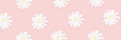 ClaudiaColl1's profile banner image