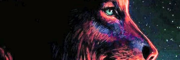 BekaD3 Profile Banner