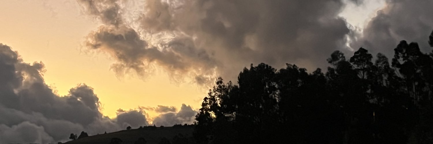 sn0wi26's profile banner image