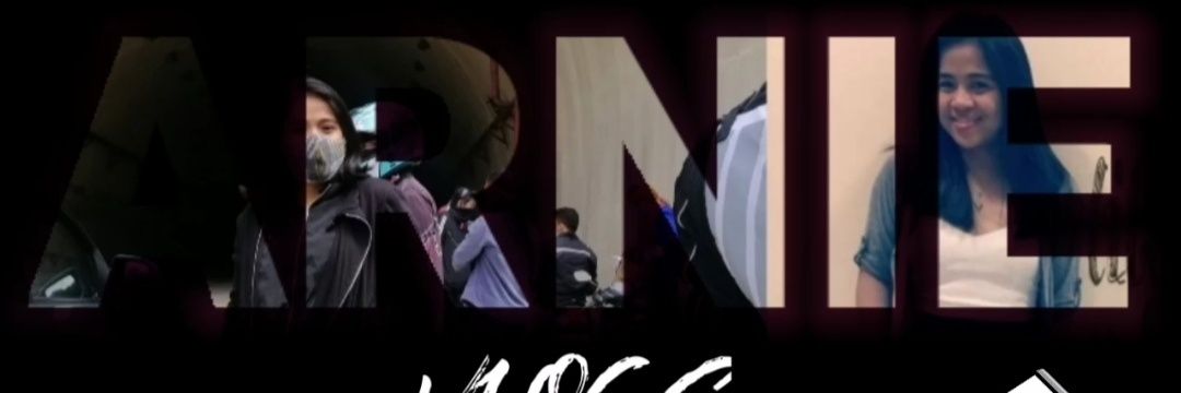 ARNIE'S VLOG banner