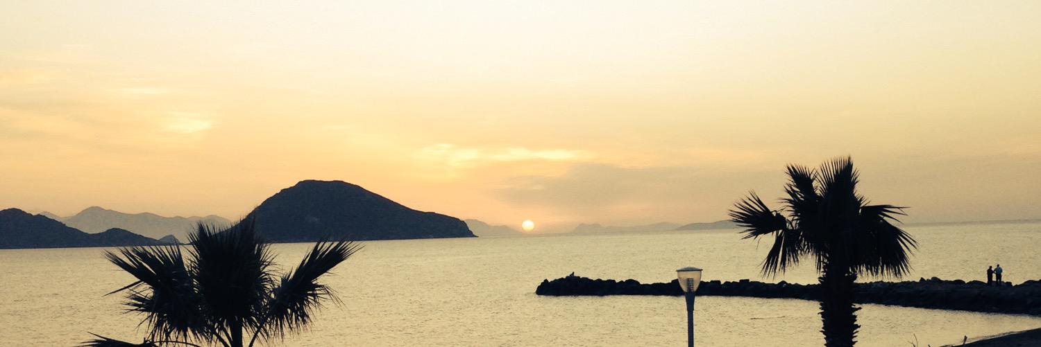 SeanCrashley's profile banner image