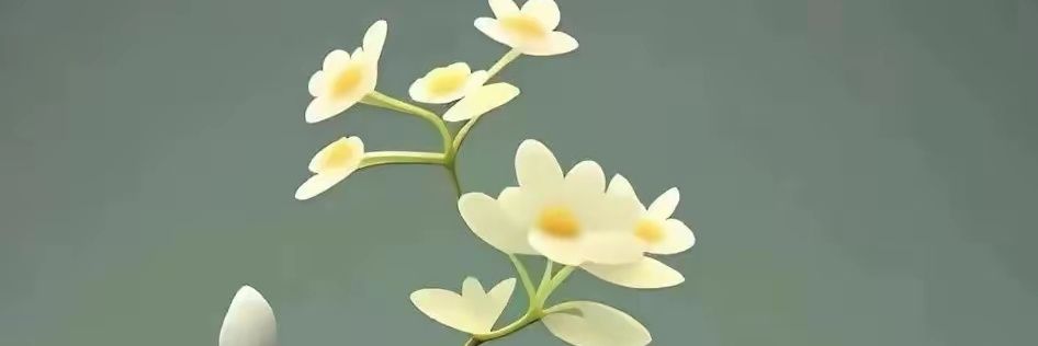 tim102379892's profile banner image