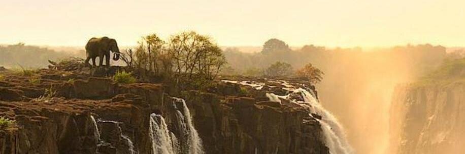 Birithivy's profile banner image