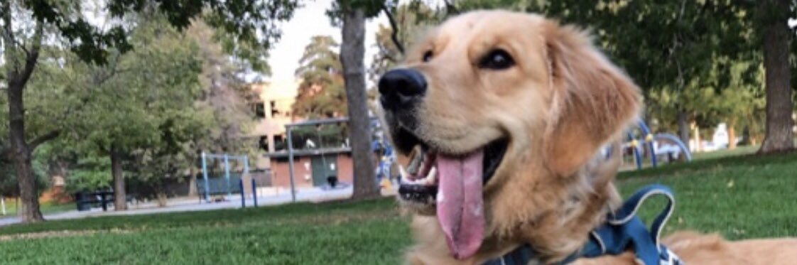 carolineee11's profile banner image