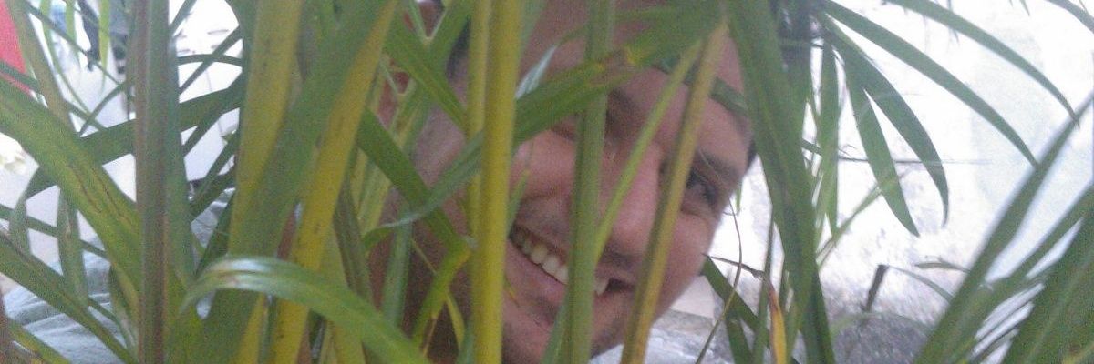 bernard_sp's profile banner image