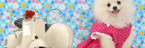 ApAps Profile Banner