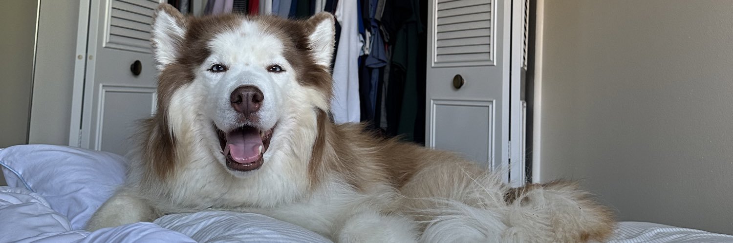 DanMcConnell_'s profile banner image