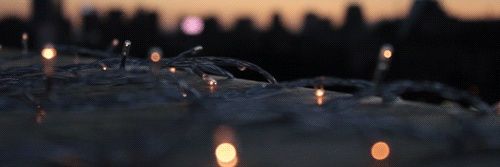 PaolaGrecco's profile banner image