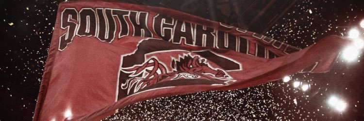 roosterz64's profile banner image