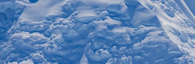 Stephen Demjanenko banner