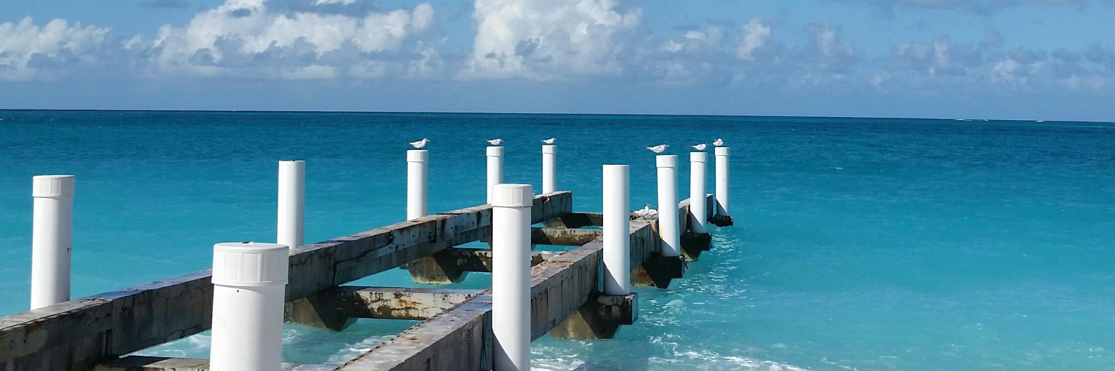 AlbertaAdvocate banner