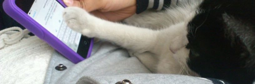 LO_Brody's profile banner image