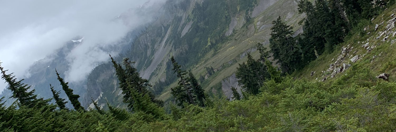 meganfosterrr's profile banner image