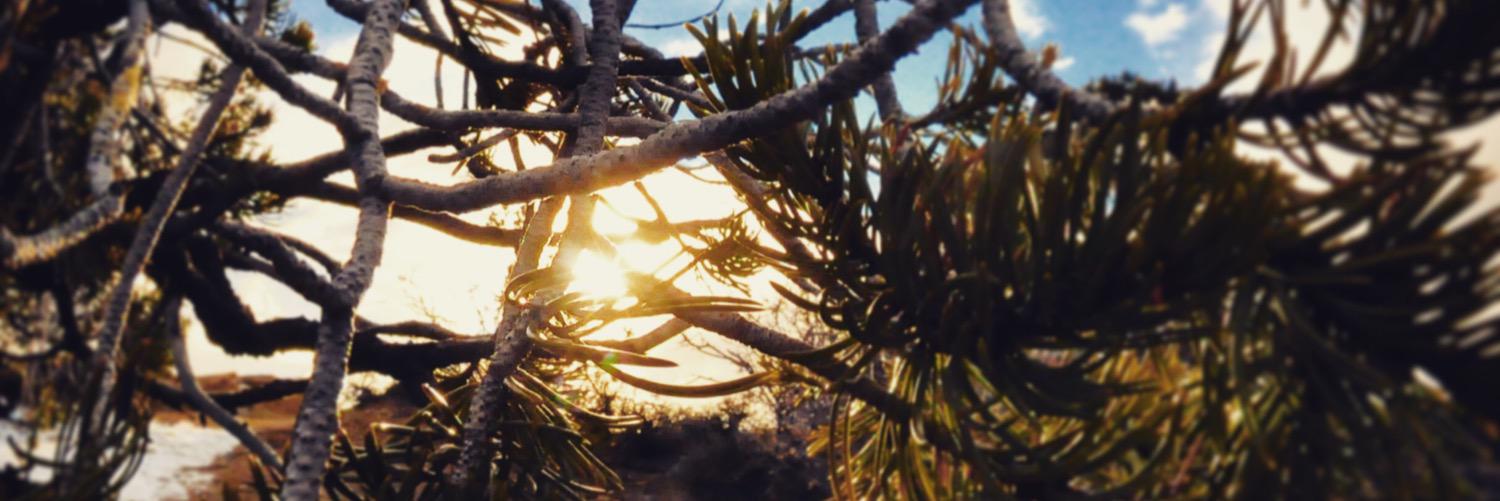 JMBrammer's profile banner image