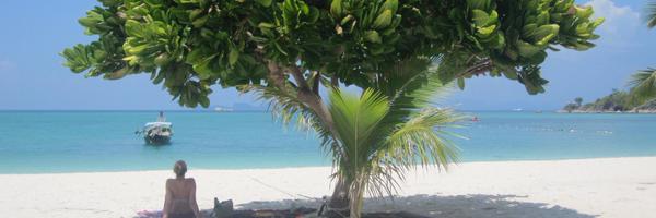 LSKvasnicka Profile Banner