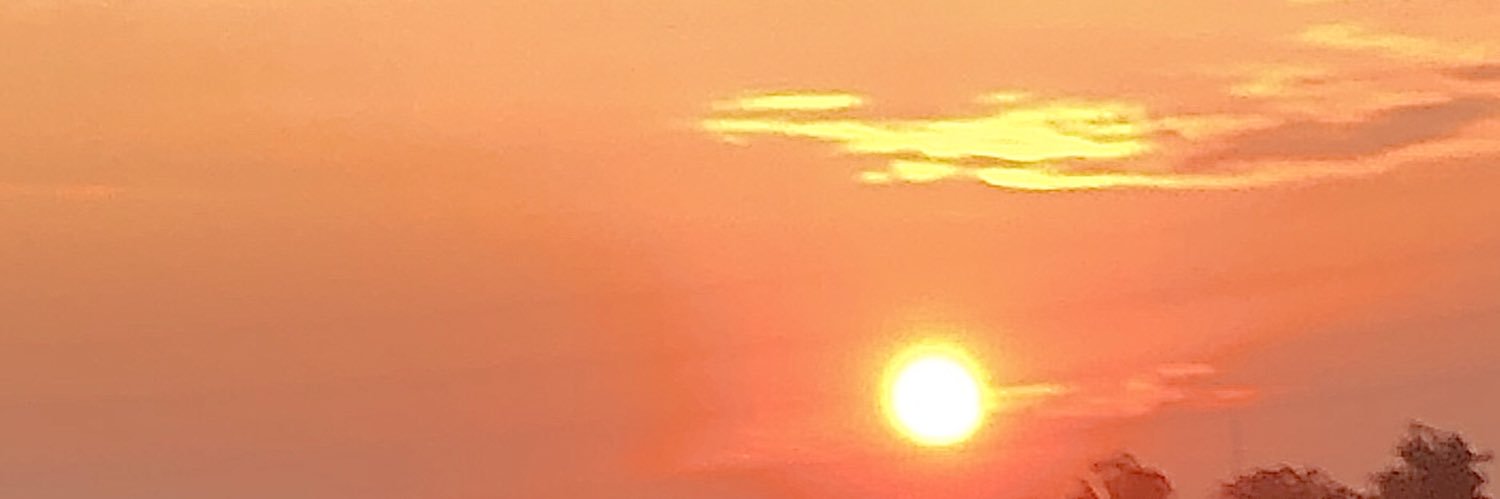 suzbri's profile banner image